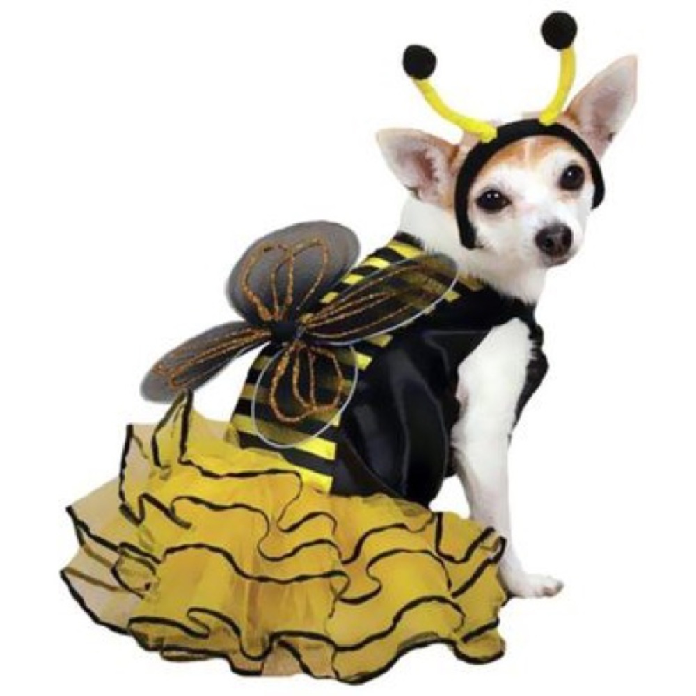 Set of Dog Bee Costume & Yellow Leash For Medium Size Dogs [M] 🐝